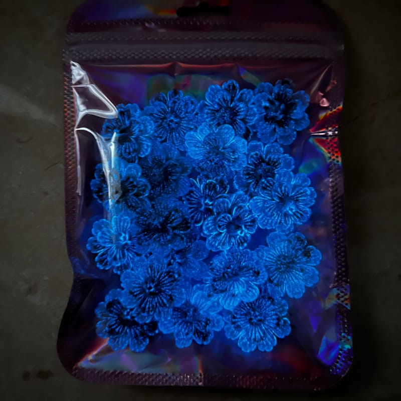 Clearance sale: Large black luminous flower