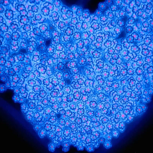 在庫一掃価格 粉色夜光软陶小花